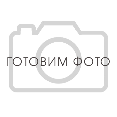 4061001300 Фильтр сепаратор